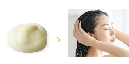 サブナ ダブルローズトリートメントの使い方